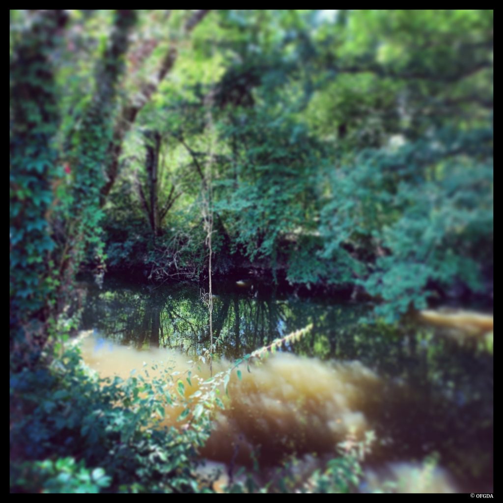 Maison Maria-Casarès. Festival d'été. Johanna Silberstein et Matthieu Roy. © OFGDA