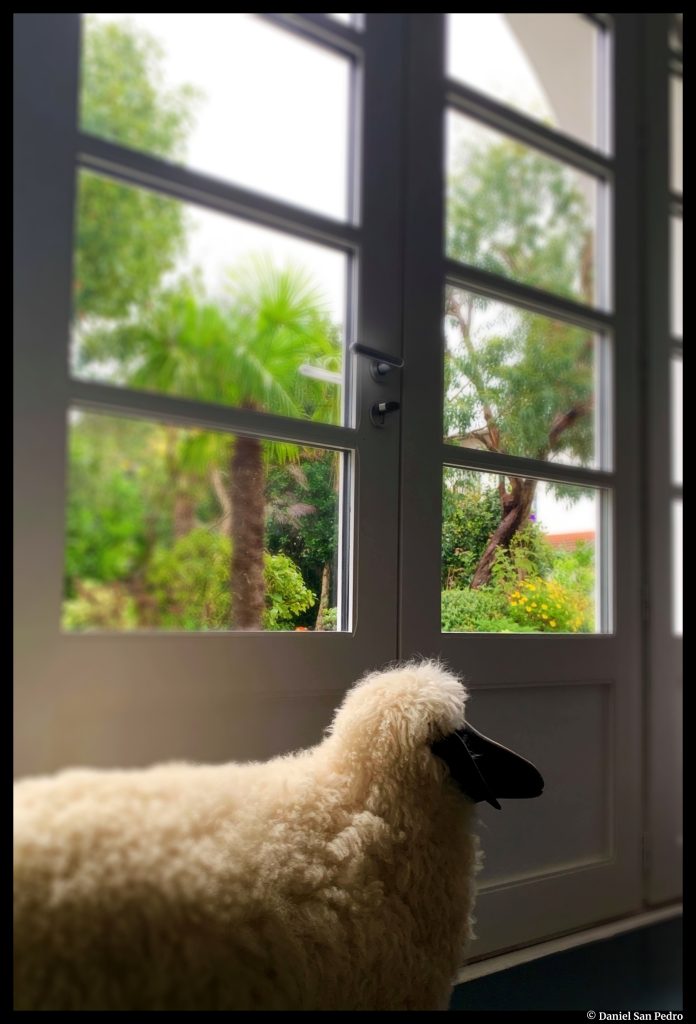 la vue confinée de Daniel San Pedro par © Daniel San Pedro