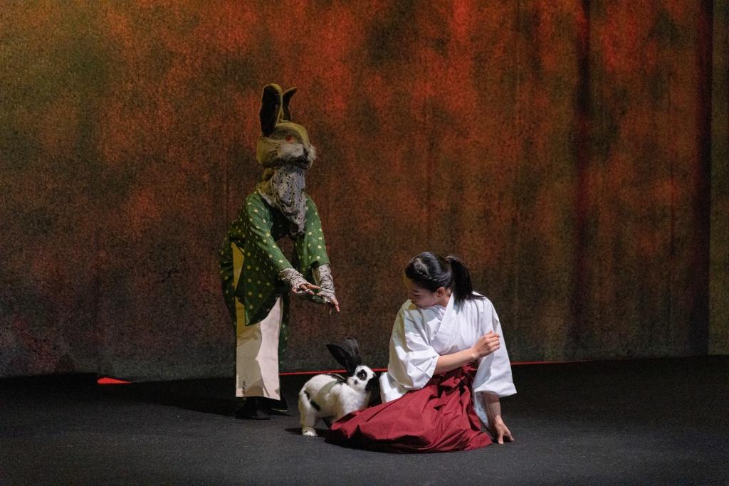 Lunar Comet 月の彗星 d’Aimée Lambert-wild © Tony Guillou