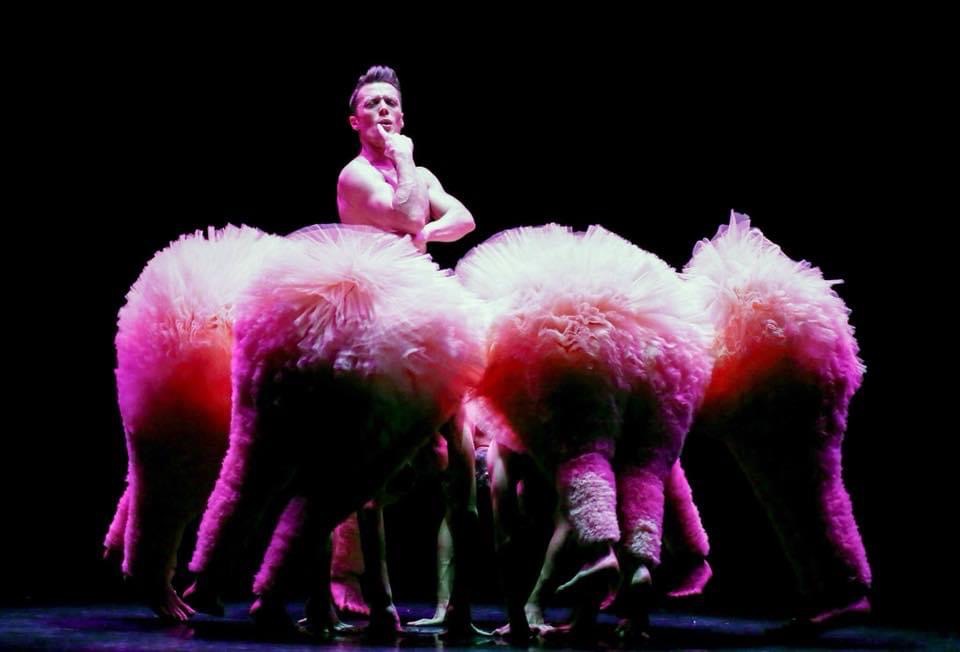 Tutu de Philippe Lafeuille