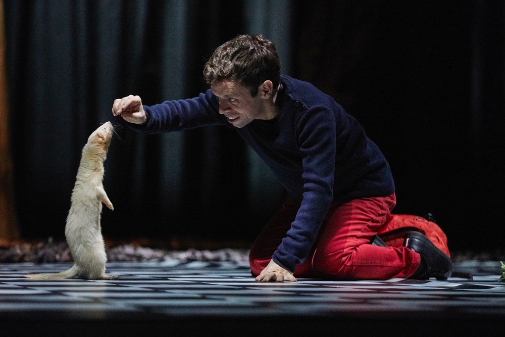 Étienne Saglio - Le bruit des loups © Prisma