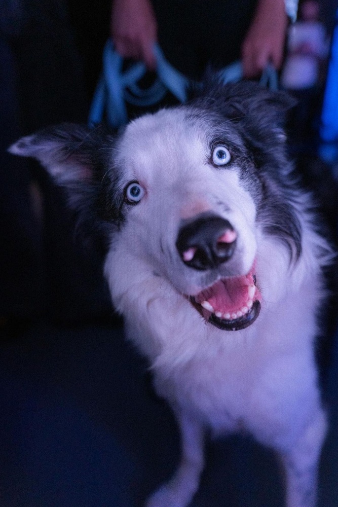 Étienne Saglio - Vers les métamorphoses - Messi © Laura Martin Contini