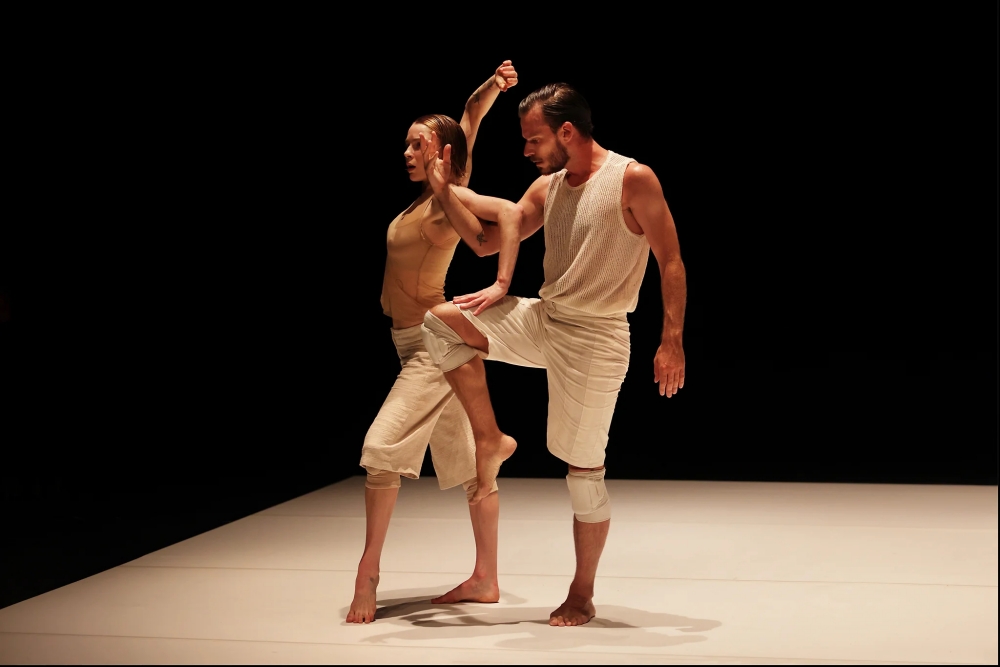 Crocodile - Martin Harriague © Stéphane Bellocq