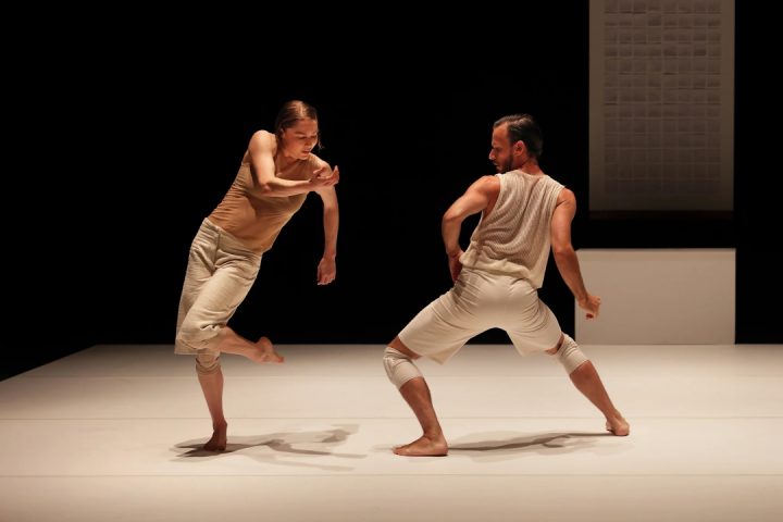 Crocodile - Martin Harriague © Stéphane Bellocq