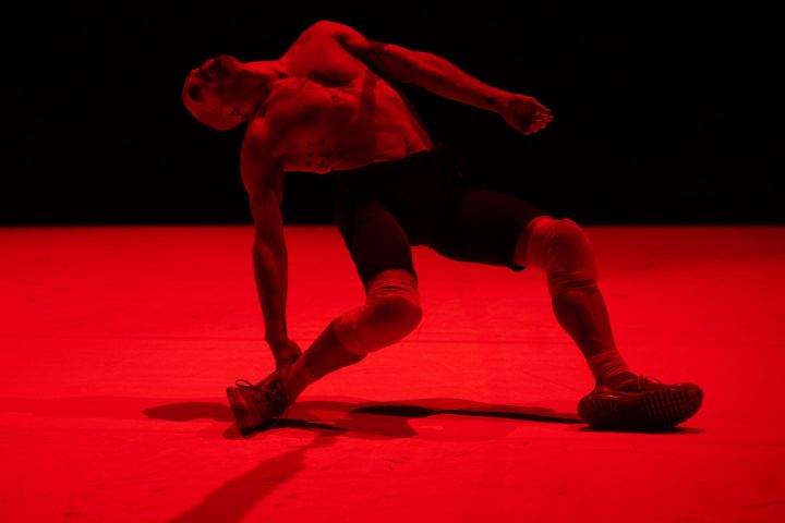 Destroy me de Yotam Peled © Camille Black