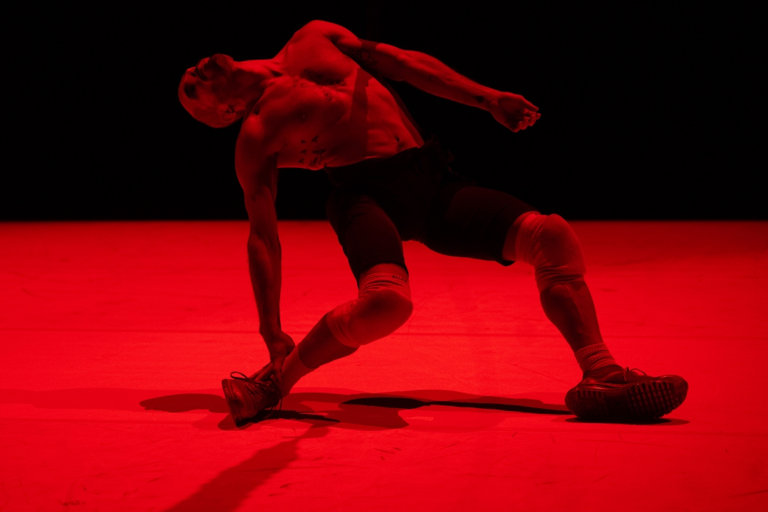 Destroy me de Yotam Peled © Camille Black