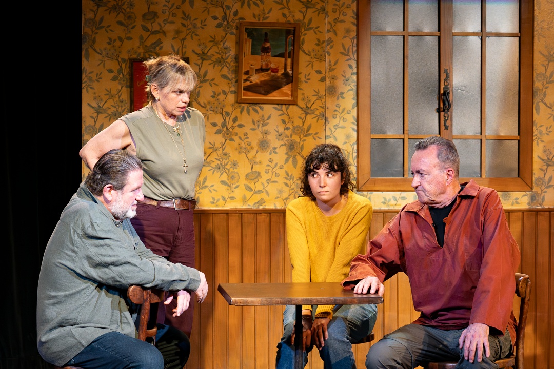 Peines perdues - Marie Nardon - Patrick Zard’ © DR